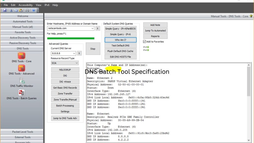 DNS Batch Tool Specification